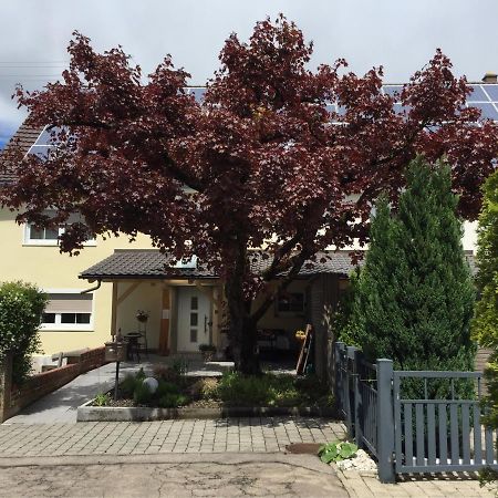 Apartmentvermietung Ingrid Bolkart - Voehlino 2 伊勒蒂森 外观 照片