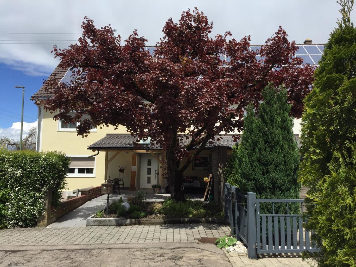 Apartmentvermietung Ingrid Bolkart - Voehlino 2 伊勒蒂森 外观 照片