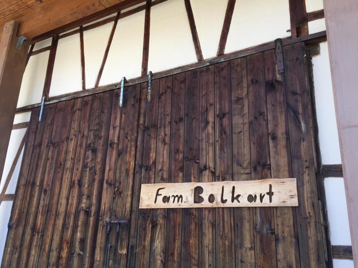 Apartmentvermietung Ingrid Bolkart - Voehlino 2 伊勒蒂森 外观 照片